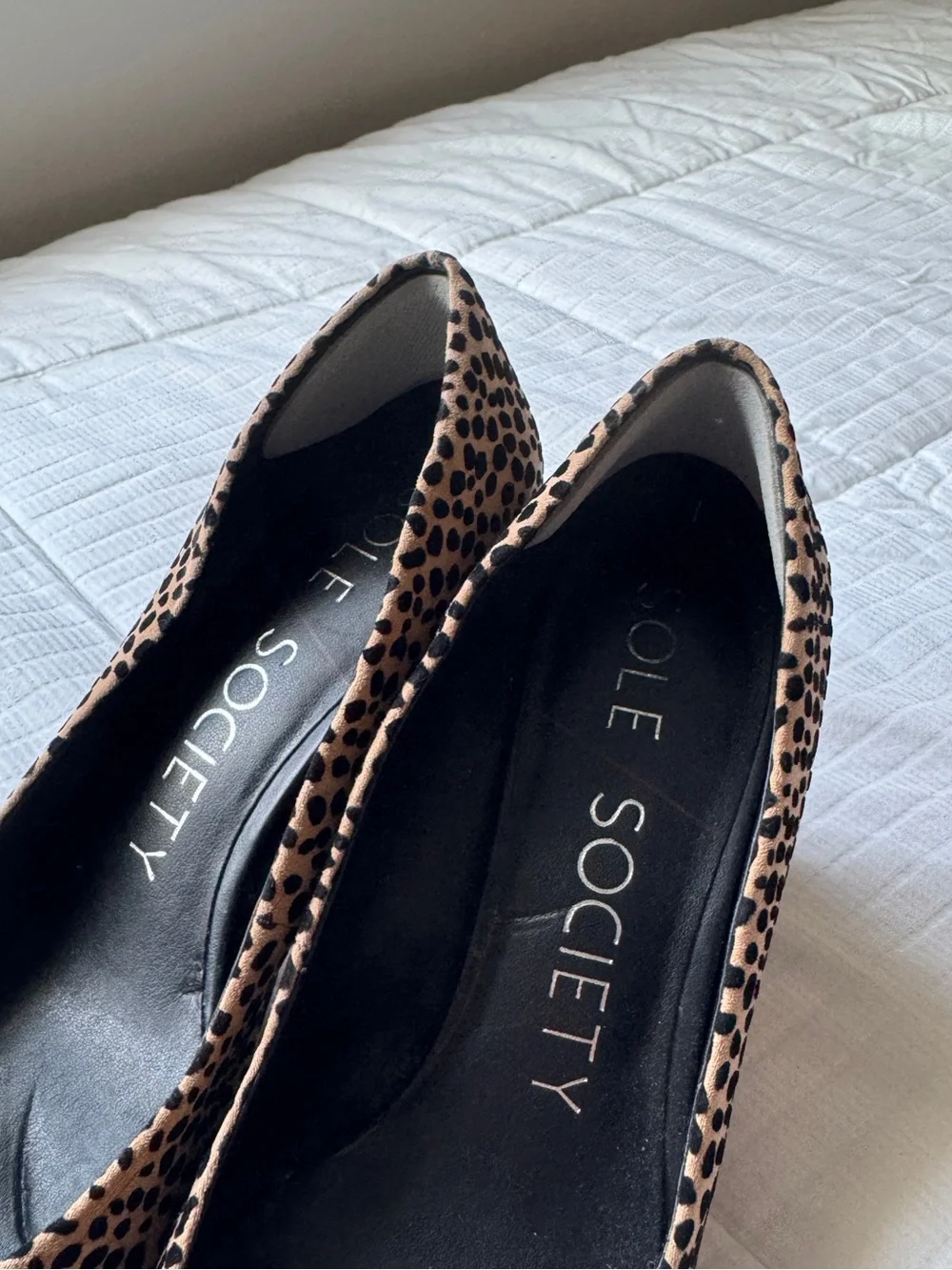 Sole Society cheetah print pointed toe block heels size 8